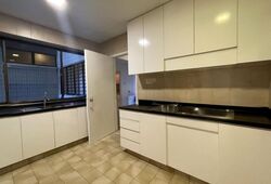 The Cairnhill (D9), Condominium #617174581